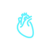 Tragbares Ultraschall gerät Anwendung Herz