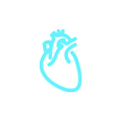 Tragbares Ultraschall gerät Anwendung Herz